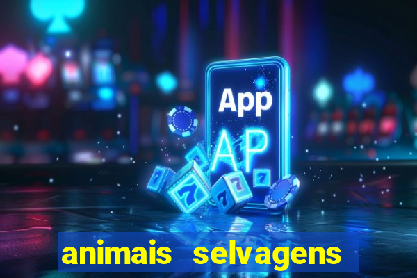 animais selvagens fotos e nomes